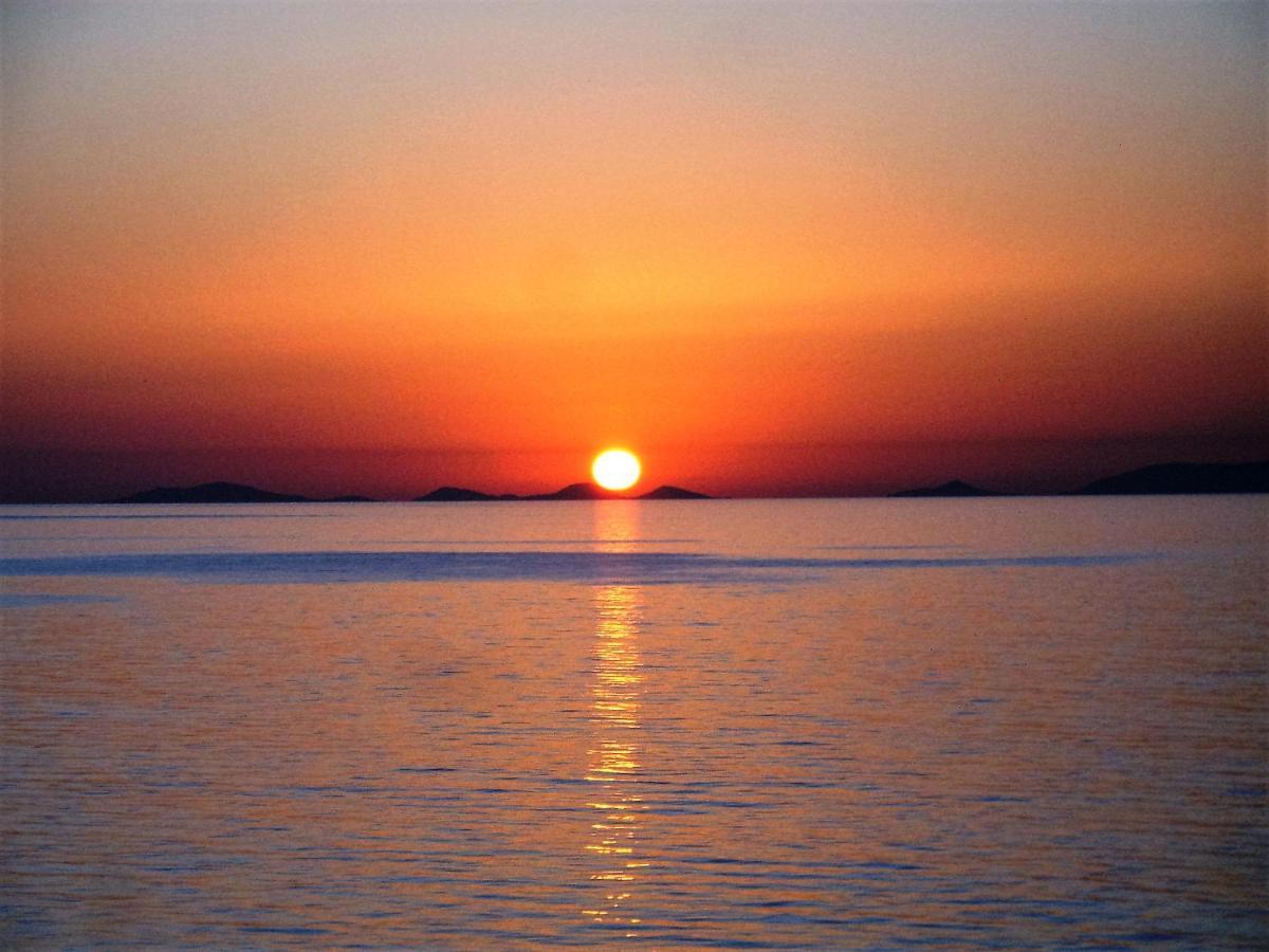 Alba Stupendo Appartamento In Villa Fronte Mare - Golfo Dell'Asinara - Internet Free Валедория Екстериор снимка