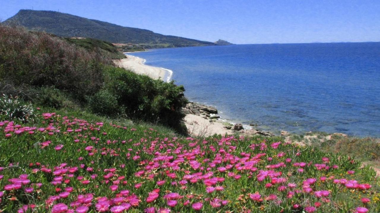 Alba Stupendo Appartamento In Villa Fronte Mare - Golfo Dell'Asinara - Internet Free Валедория Екстериор снимка